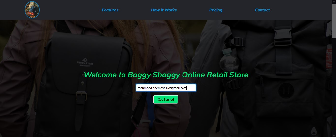 Screenshot of Baggy shaggy website